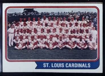 36 Cardinals Team